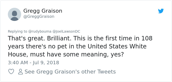 The Way This Polish Academic ‘Reacts’ When Cat Interrupts His Serious Interview Amuses The Internet The Way This Polish Academic ‘Reacts’ When Cat Interrupts His Serious Interview Amuses The Internet