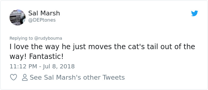 The Way This Polish Academic ‘Reacts’ When Cat Interrupts His Serious Interview Amuses The Internet The Way This Polish Academic ‘Reacts’ When Cat Interrupts His Serious Interview Amuses The Internet