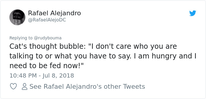 The Way This Polish Academic ‘Reacts’ When Cat Interrupts His Serious Interview Amuses The Internet The Way This Polish Academic ‘Reacts’ When Cat Interrupts His Serious Interview Amuses The Internet