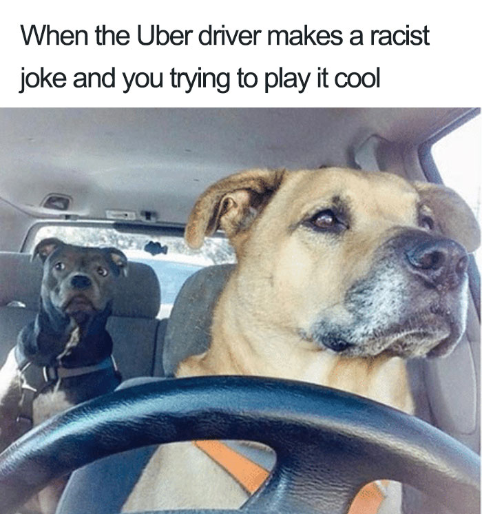20 Hilarious Uber Animal Memes 20 Hilarious Uber Animal Memes