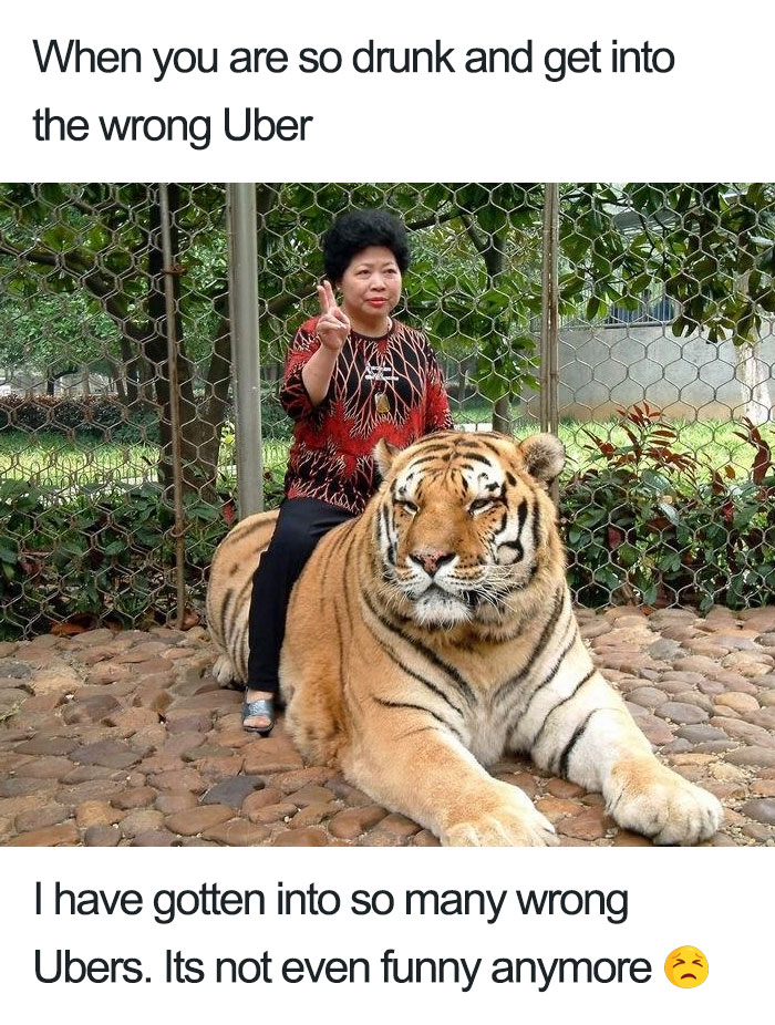 20 Hilarious Uber Animal Memes 20 Hilarious Uber Animal Memes