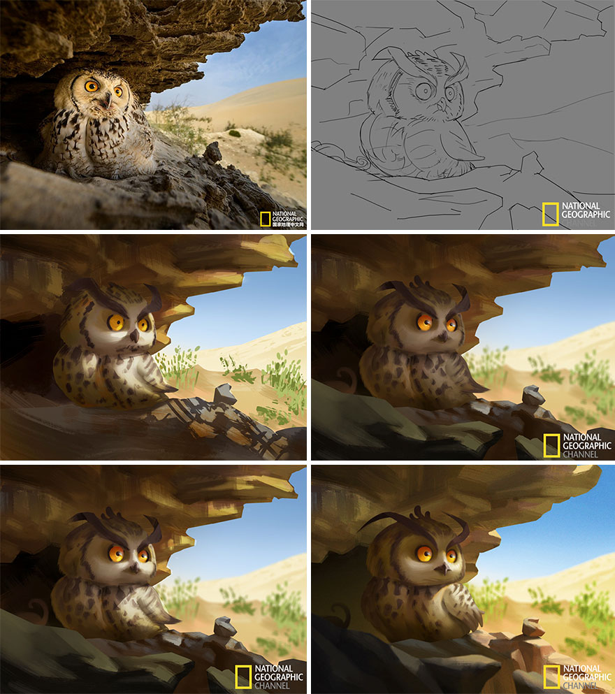 Artist Turns National Geographic Pictures Into Illustrations, And The Result Is Adorable