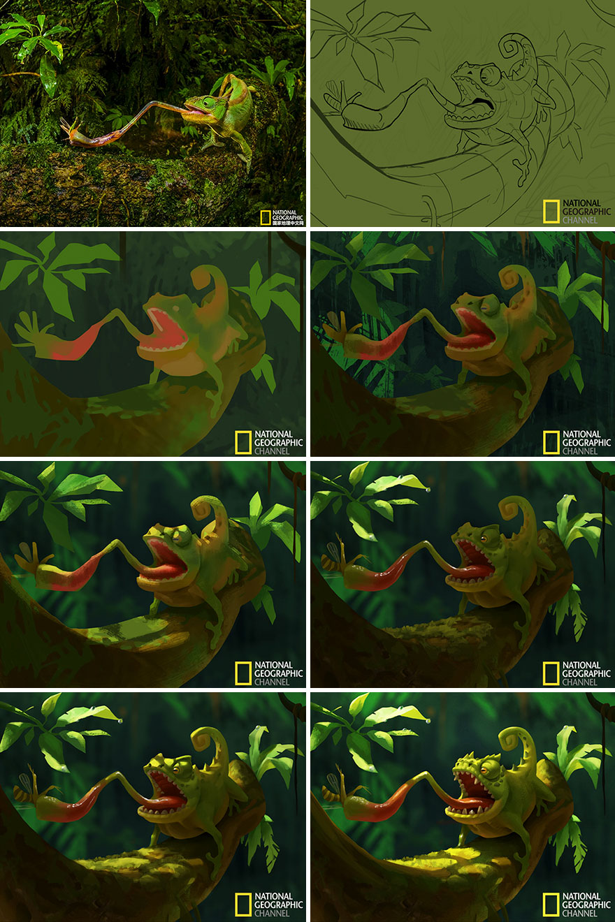 Artist Turns National Geographic Pictures Into Illustrations, And The Result Is Adorable