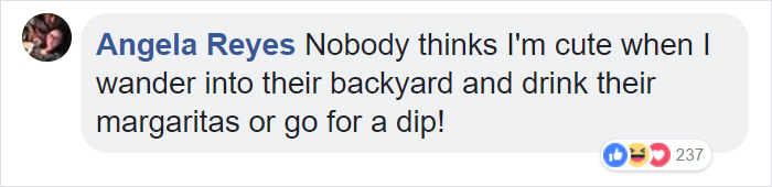 Guy Films Bear Chilling In His Jacuzzi Drinking A Margarita, But It Doesn’t End There Guy Films Bear Chilling In His Jacuzzi Drinking A Margarita, But It Doesn’t End There