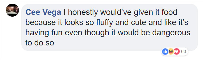 Guy Films Bear Chilling In His Jacuzzi Drinking A Margarita, But It Doesn’t End There Guy Films Bear Chilling In His Jacuzzi Drinking A Margarita, But It Doesn’t End There