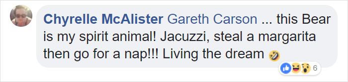 Guy Films Bear Chilling In His Jacuzzi Drinking A Margarita, But It Doesn’t End There Guy Films Bear Chilling In His Jacuzzi Drinking A Margarita, But It Doesn’t End There