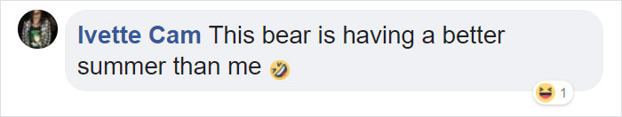 Guy Films Bear Chilling In His Jacuzzi Drinking A Margarita, But It Doesn’t End There Guy Films Bear Chilling In His Jacuzzi Drinking A Margarita, But It Doesn’t End There