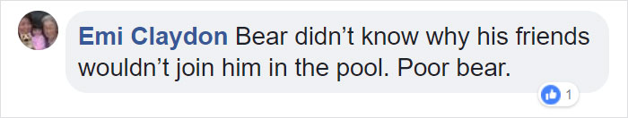 Guy Films Bear Chilling In His Jacuzzi Drinking A Margarita, But It Doesn’t End There Guy Films Bear Chilling In His Jacuzzi Drinking A Margarita, But It Doesn’t End There