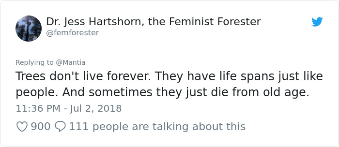 People Share Popular Misconceptions About Their Jobs, And The Nurse One Is Sad