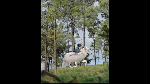 I Combined Photos To Recreate Scenes From Ghibli Studio I Combined Photos To Recreate Scenes From Ghibli Studio