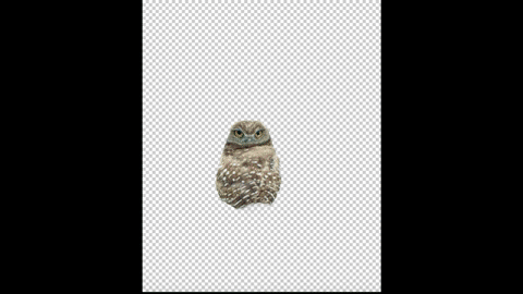 I Combined Photos To Recreate Scenes From Ghibli Studio I Combined Photos To Recreate Scenes From Ghibli Studio