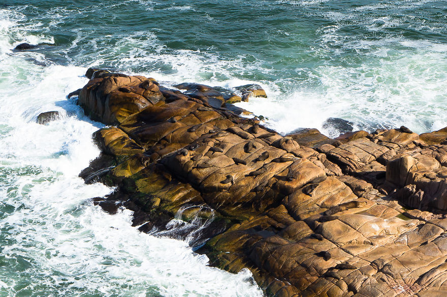 Ever Heard Of Cabo Polonio? You Have To See This Wacky And Weird Place Ever Heard Of Cabo Polonio? You Have To See This Wacky And Weird Place