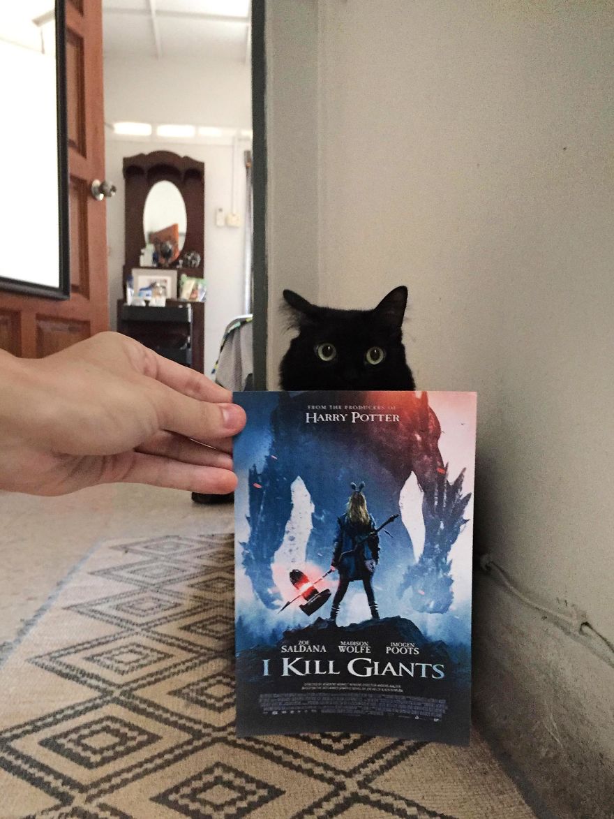 Photographer Follows Cats Around To “Insert” Them Behind Famous Movie Posters, And The Result Is Purrfect