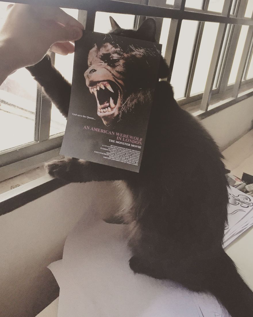 Photographer Follows Cats Around To “Insert” Them Behind Famous Movie Posters, And The Result Is Purrfect