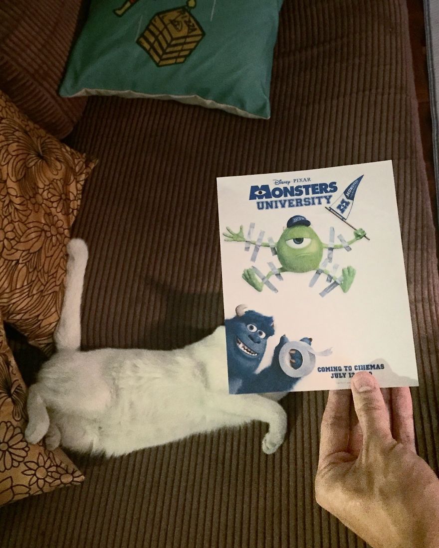 Photographer Follows Cats Around To “Insert” Them Behind Famous Movie Posters, And The Result Is Purrfect