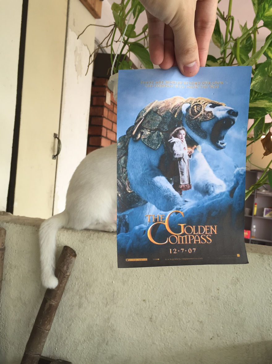 Photographer Follows Cats Around To “Insert” Them Behind Famous Movie Posters, And The Result Is Purrfect