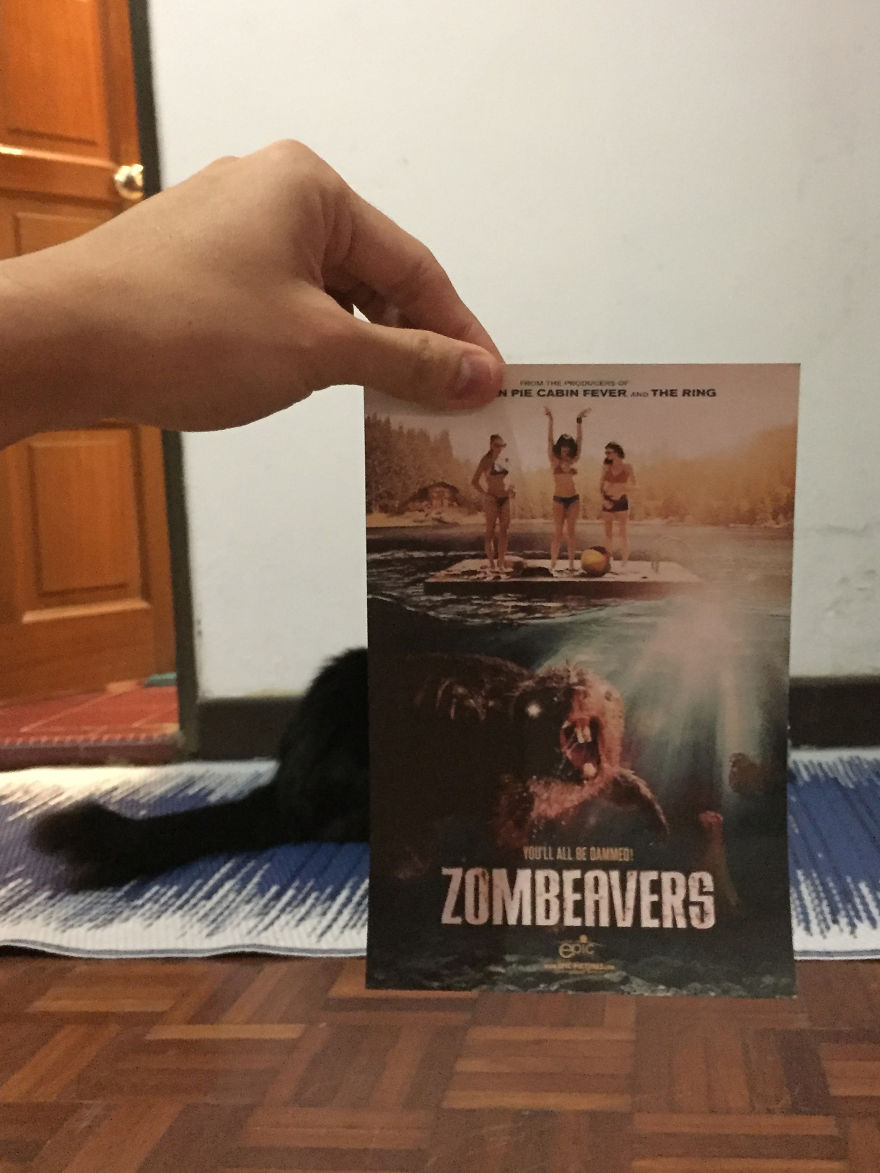 Photographer Follows Cats Around To “Insert” Them Behind Famous Movie Posters, And The Result Is Purrfect