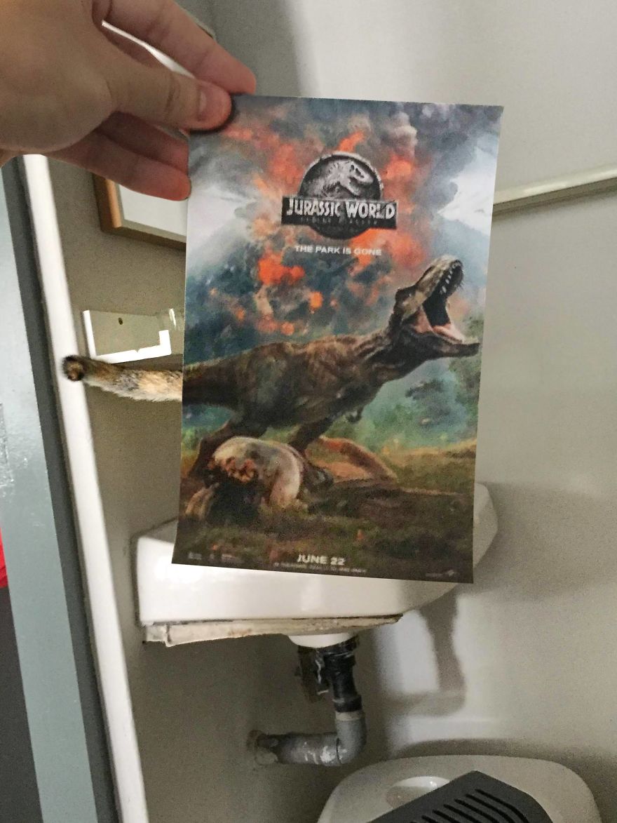 Photographer Follows Cats Around To “Insert” Them Behind Famous Movie Posters, And The Result Is Purrfect