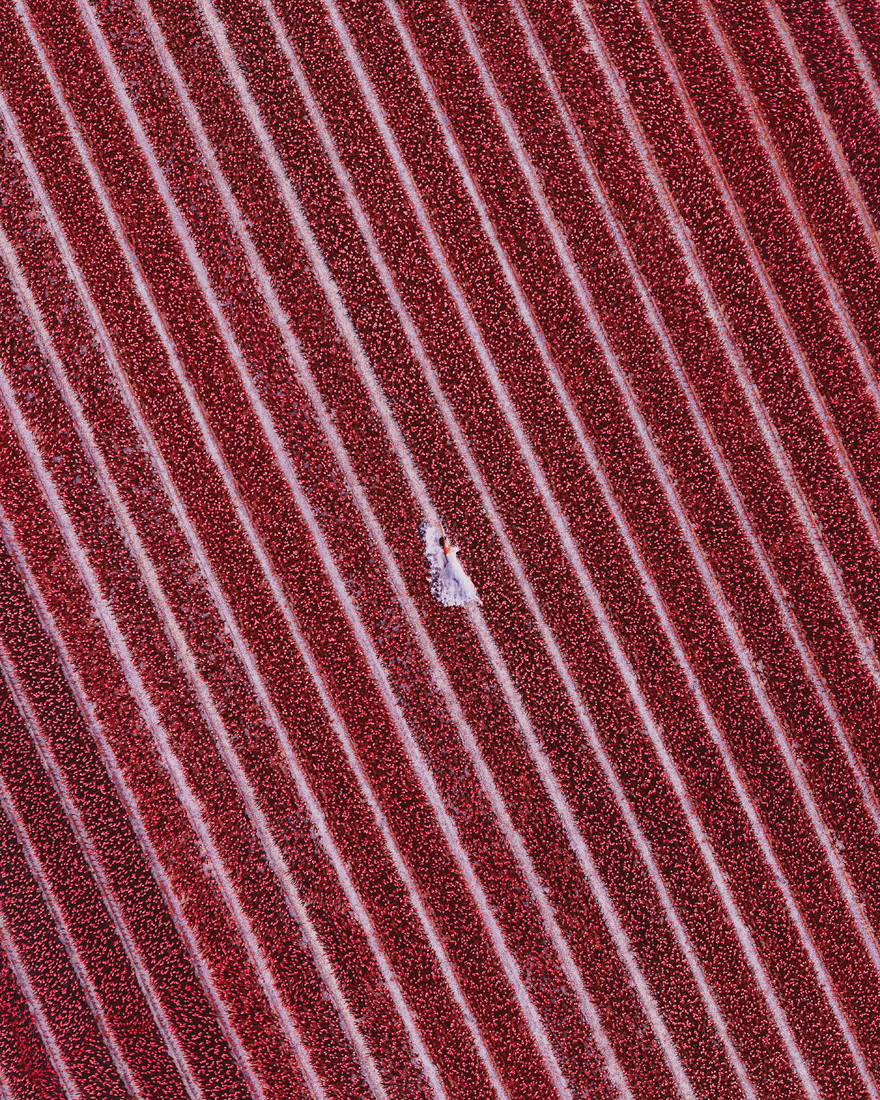 I Travel The World To Photograph Girls In Dresses Against Backgrounds Of The Most Beautiful Places (New Pics) I Travel The World To Photograph Girls In Dresses Against Backgrounds Of The Most Beautiful Places (New Pics)