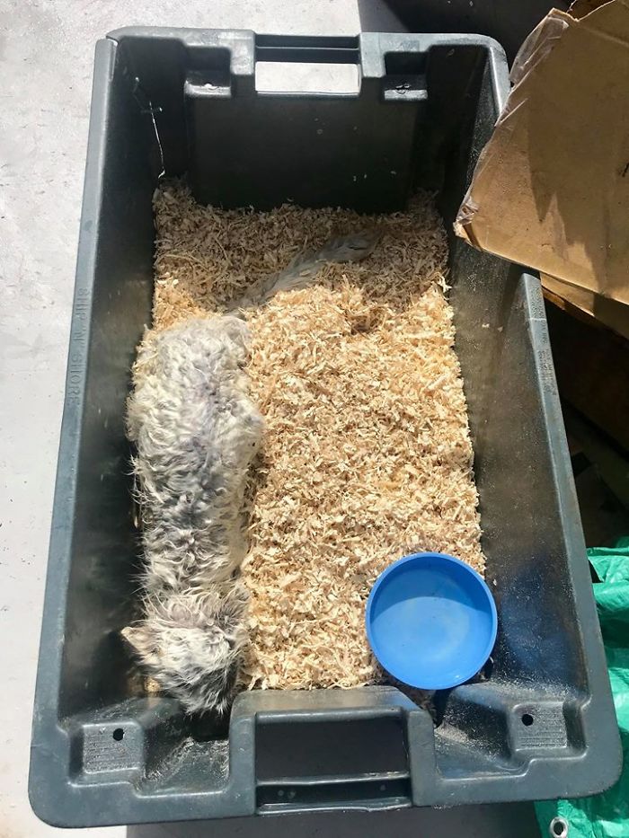 Fishermen Think They Found A Seal Floating On An Iceberg, Then They Take A Closer Look