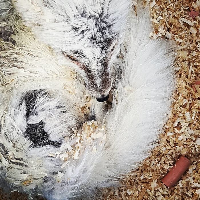 Fishermen Think They Found A Seal Floating On An Iceberg, Then They Take A Closer Look