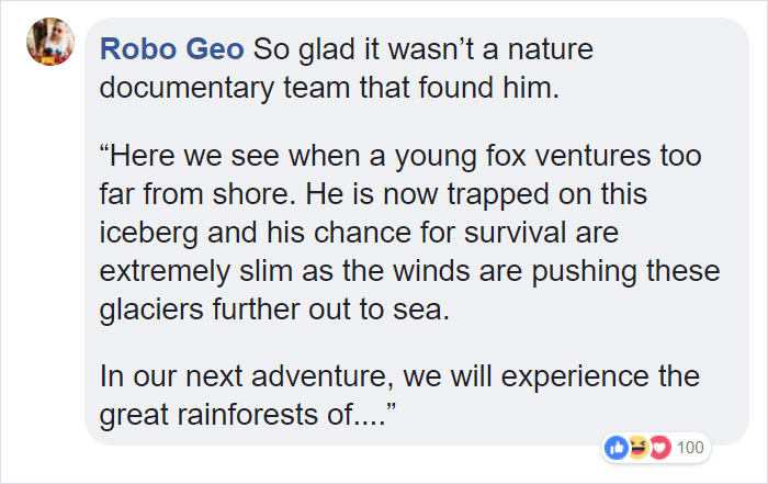 Fishermen Think They Found A Seal Floating On An Iceberg, Then They Take A Closer Look