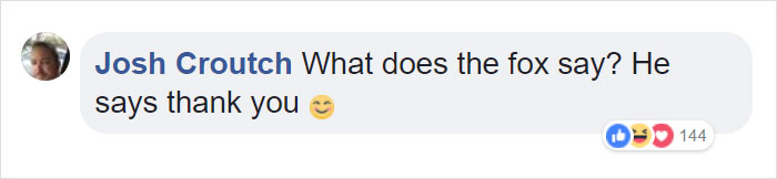 Fishermen Think They Found A Seal Floating On An Iceberg, Then They Take A Closer Look