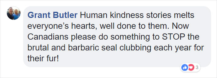 Fishermen Think They Found A Seal Floating On An Iceberg, Then They Take A Closer Look