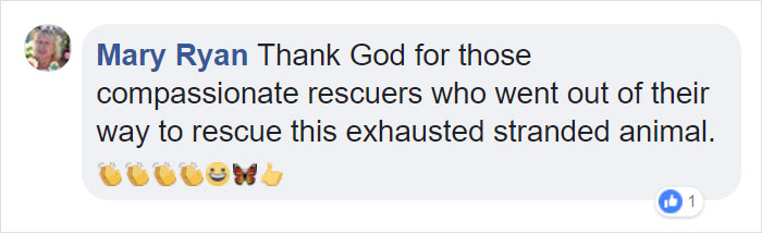 Fishermen Think They Found A Seal Floating On An Iceberg, Then They Take A Closer Look