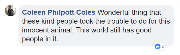 Fishermen Think They Found A Seal Floating On An Iceberg, Then They Take A Closer Look