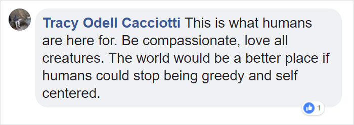 Fishermen Think They Found A Seal Floating On An Iceberg, Then They Take A Closer Look