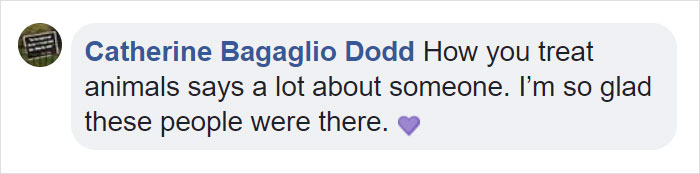 Fishermen Think They Found A Seal Floating On An Iceberg, Then They Take A Closer Look