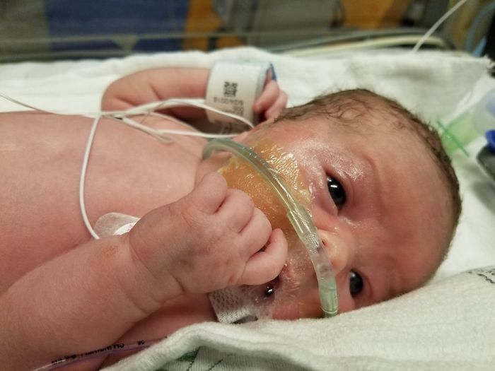 Therapy Rabbits: One Family’s Unique Perspective Therapy Rabbits: One Family’s Unique Perspective