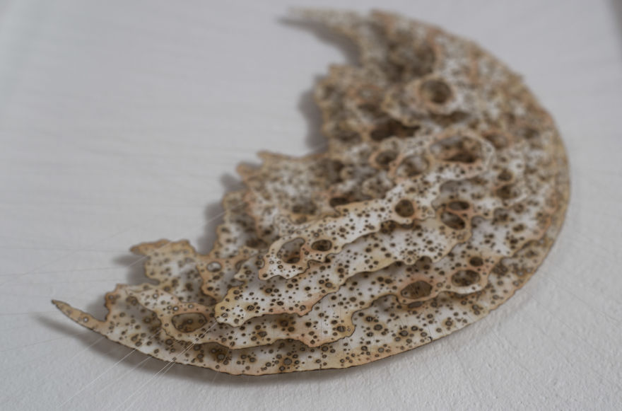 I Created This Layered Paper Sculpture I Created This Layered Paper Sculpture