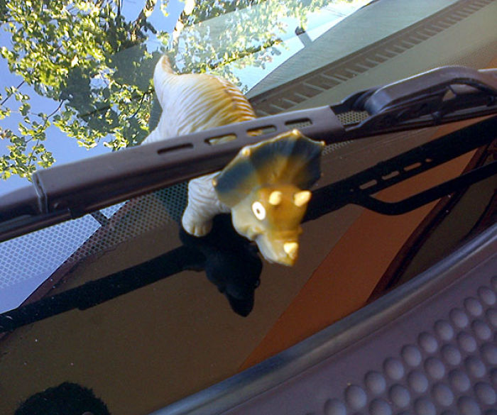 50 Times Students Deserved An A+ For Their Sense Of Humor