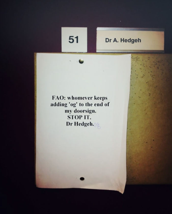 50 Times Students Deserved An A+ For Their Sense Of Humor