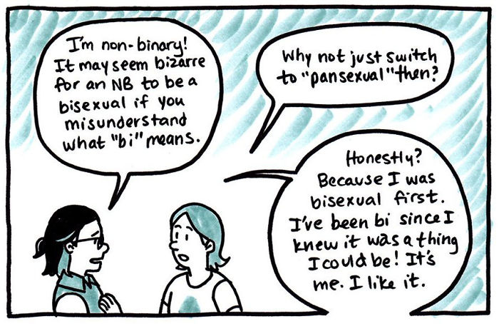 The Way This Artist Explained Bisexuality In A Simple Comic Went Viral, But Not Everyone Agrees