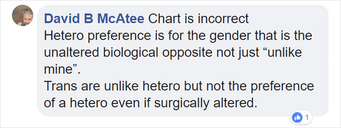 The Way This Artist Explained Bisexuality In A Simple Comic Went Viral, But Not Everyone Agrees