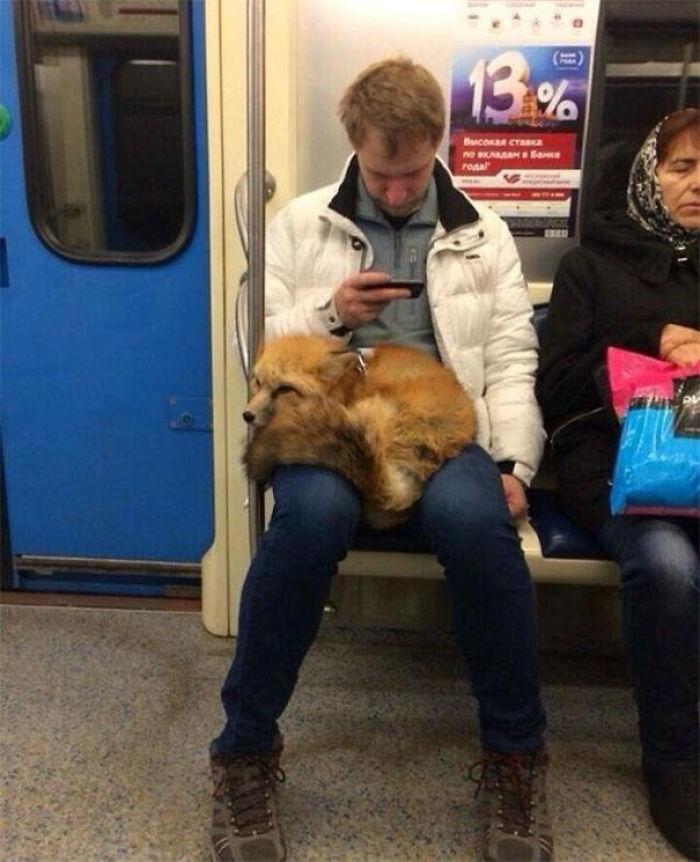 104 Times People Had To Look Twice To Understand What They Were Seeing On The Subway