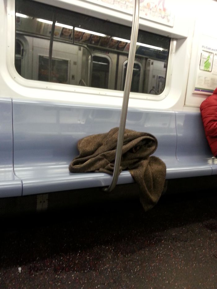 104 Times People Had To Look Twice To Understand What They Were Seeing On The Subway