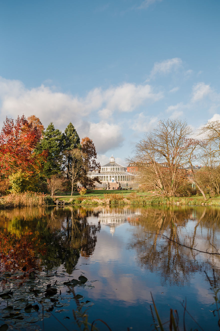 A Year With The Happiest People On Earth