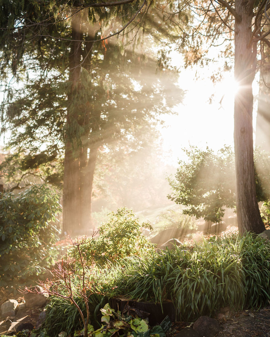 A Year With The Happiest People On Earth