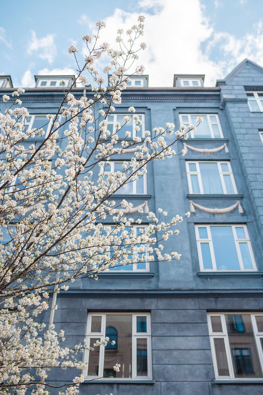 A Year With The Happiest People On Earth