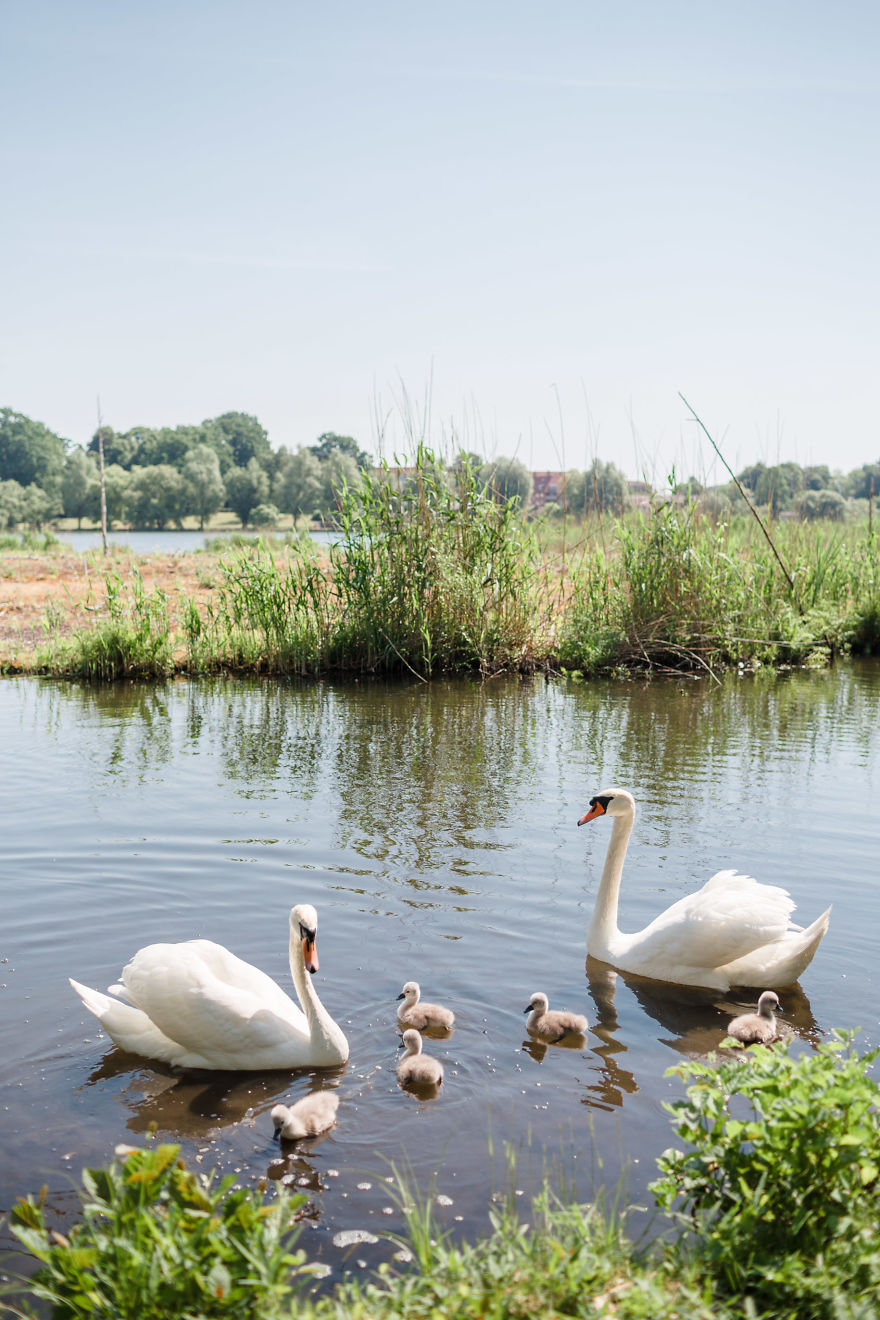 A Year With The Happiest People On Earth