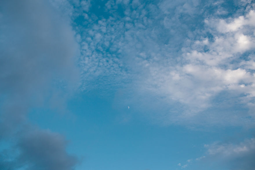 A Year With The Happiest People On Earth