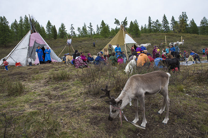 I Photographed Indigenous Marriage Of Tsaatan Tribe In Mongolian Wild Taiga I Photographed Indigenous Marriage Of Tsaatan Tribe In Mongolian Wild Taiga