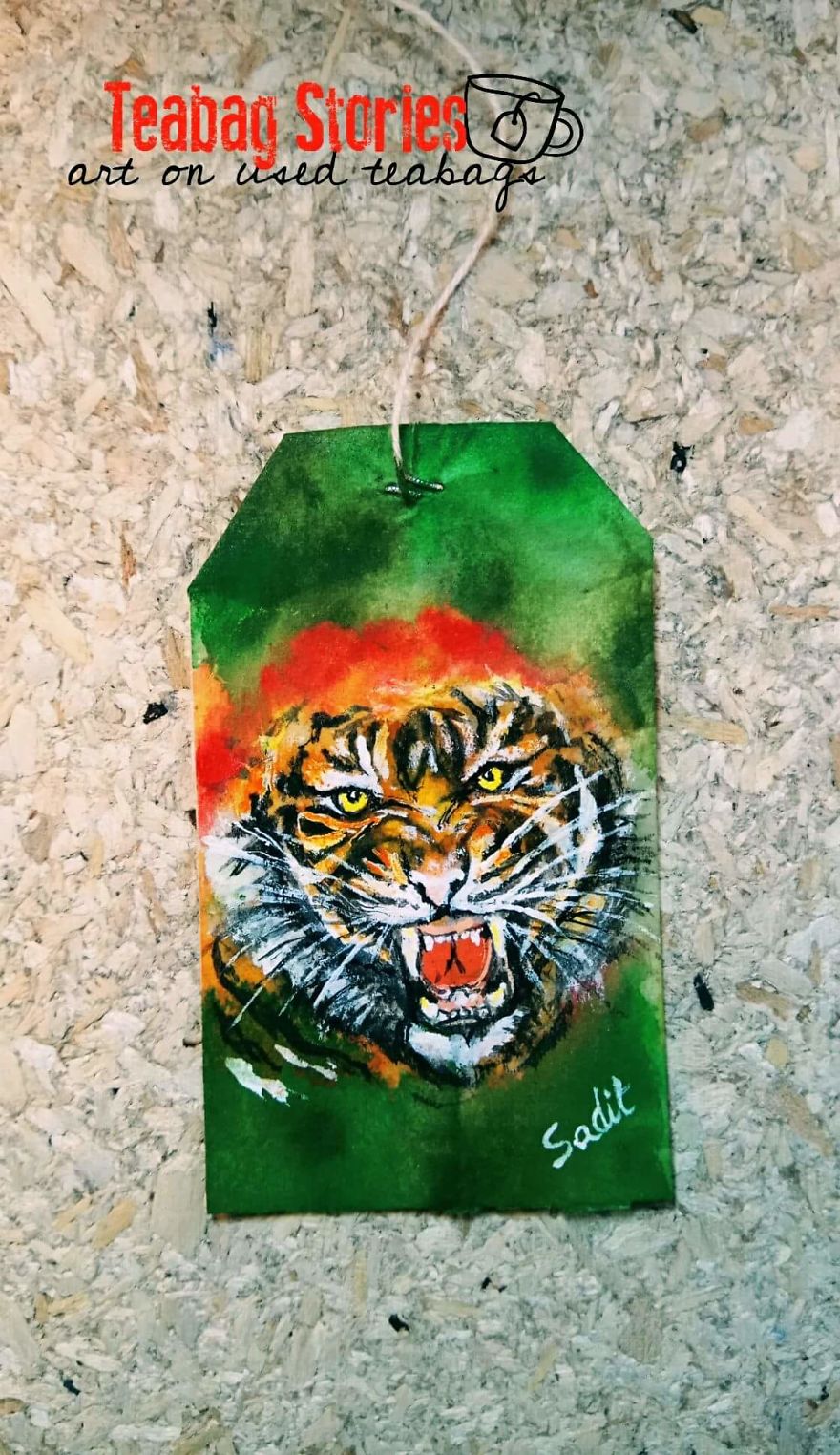 Artist Shows The Beauty Of His Country By Using Recycled Teabags