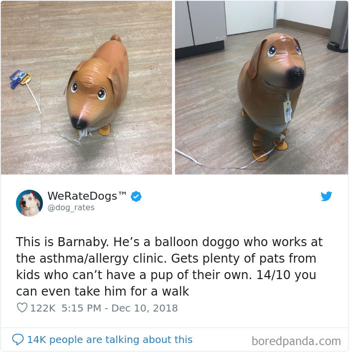 50 Times People Asked To Rate Their Dogs, And Got Hilarious Results 50 Times People Asked To Rate Their Dogs, And Got Hilarious Results
