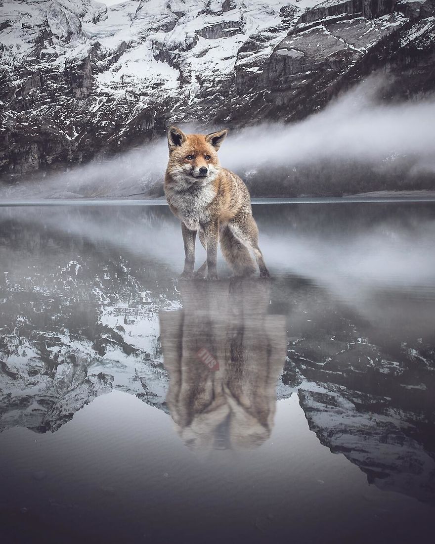 I’m A Turkish Guy Who Likes Graphic Design I’m A Turkish Guy Who Likes Graphic Design