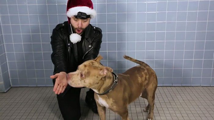 This Magician Made Treats Disappear And Shelter Dogs&#8217; Reactions Will Crack You Up